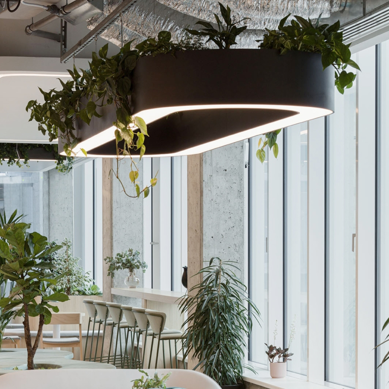 Oval Green Plant Circular LED Pendant Lighting Decor Chandelier For Living Bedroom Dining Room Home Office
