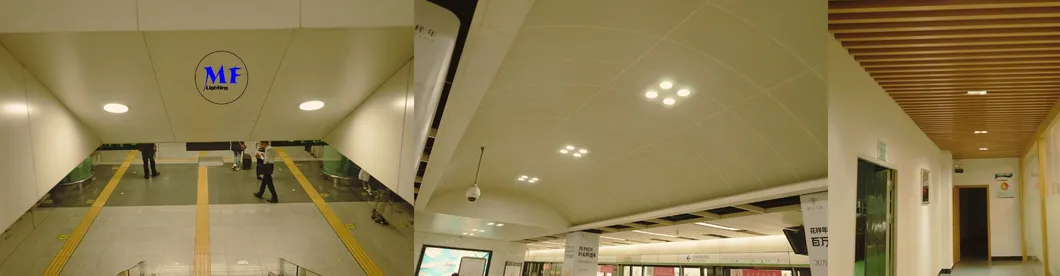 Aesthetic Downlighting Application Overview