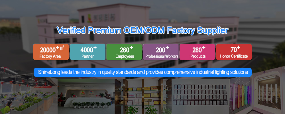 Company Profile View 1