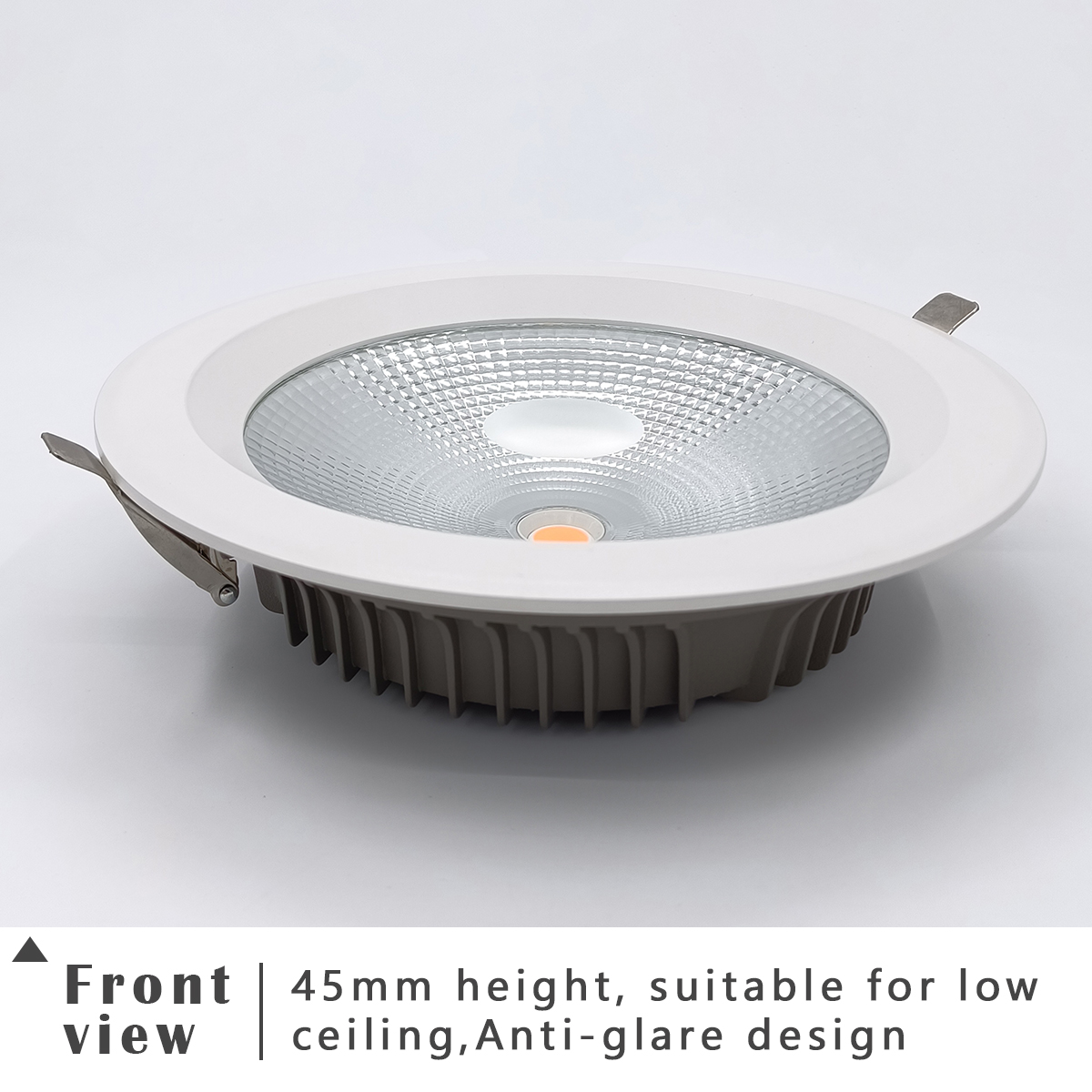 LED Downlight 1