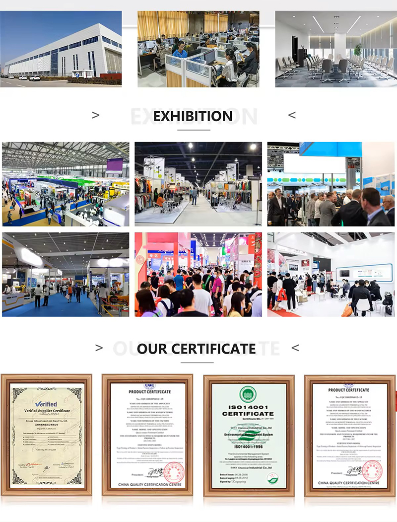 Company Showcase