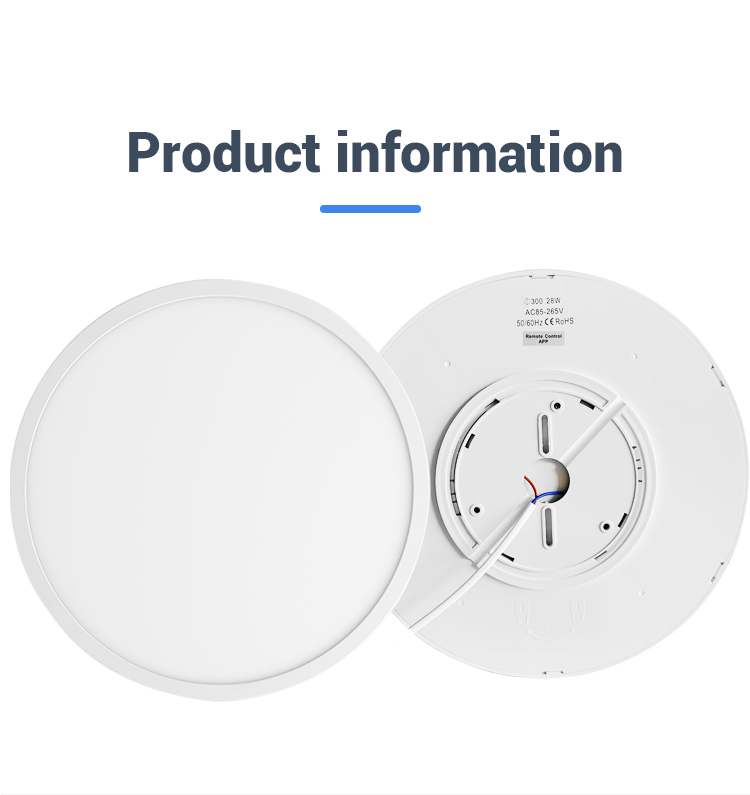 LED Ceiling Light Setup
