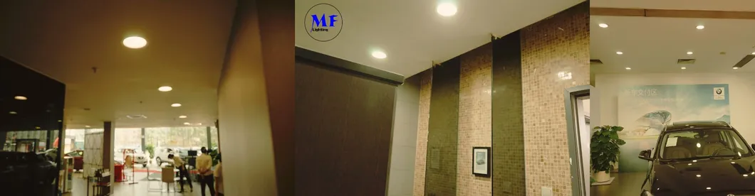 Gallery and Showroom Lighting application
