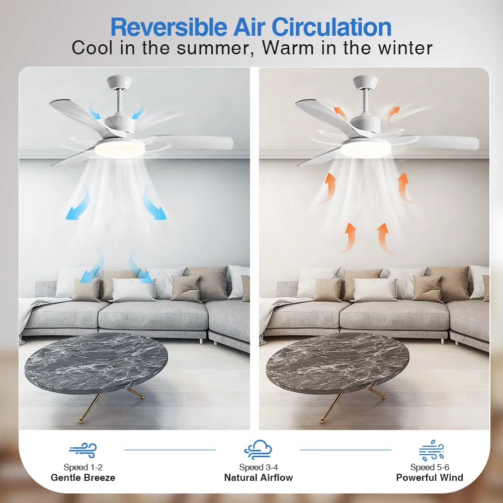 Smart Ceiling Fan Light, Matte ABS Blades, Wi-Fi Control, Works with APP