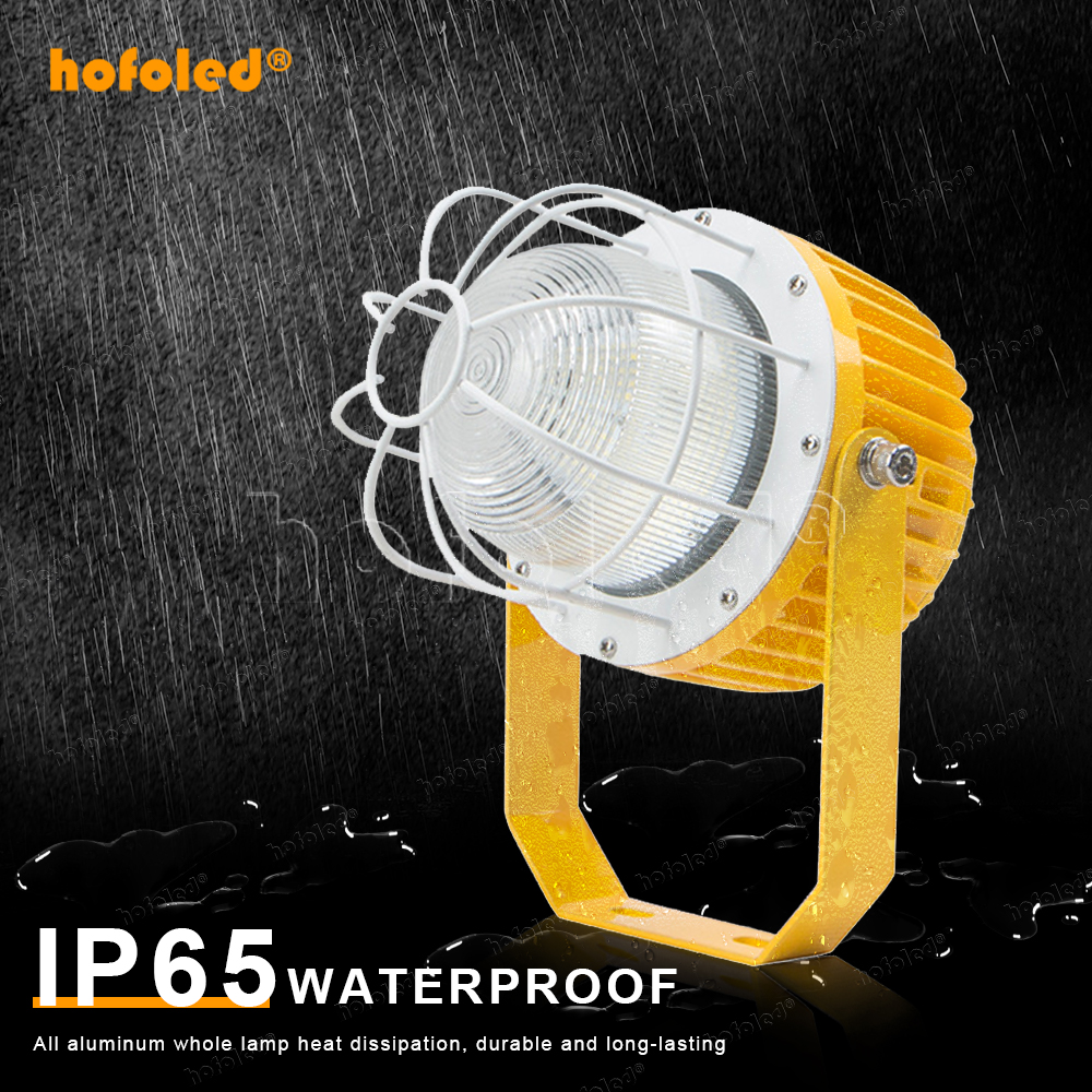 100W 120W Professional Flame Proof Lighting Tri-Proof Anti-Corrosion Design Gas Station Light Explosion Proof Led Light
