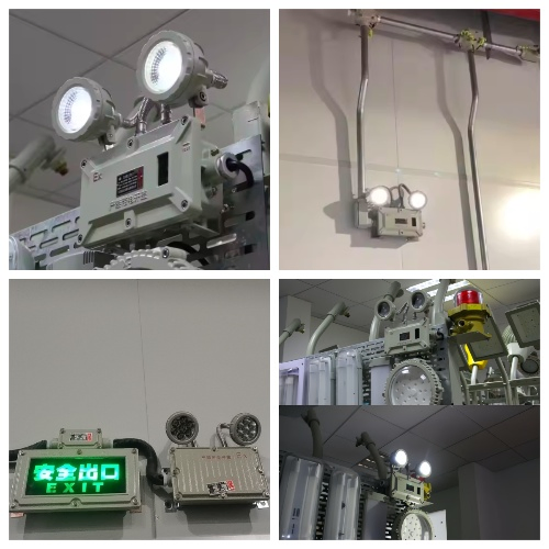 ATEX Anti Explosion Emergency Safety Light Emergency Time 180mins IP66 Tri-Proof