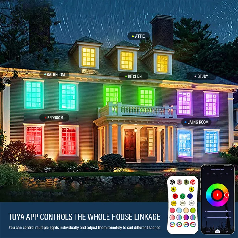 Tuya WiFi RGB Smart LED Ceiling Light Dimmable APP Control Color Changing Surface Mount Indoor Lamp