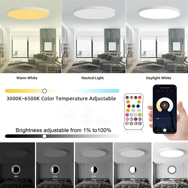 Tuya WiFi RGB Smart LED Ceiling Light Dimmable APP Control Color Changing Surface Mount Indoor Lamp