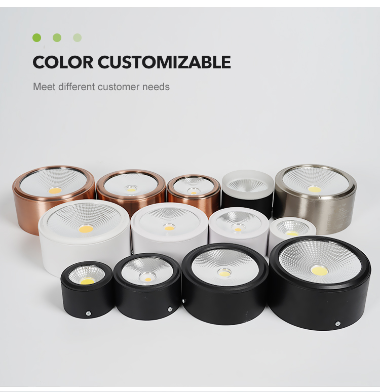 LED Downlight View 6