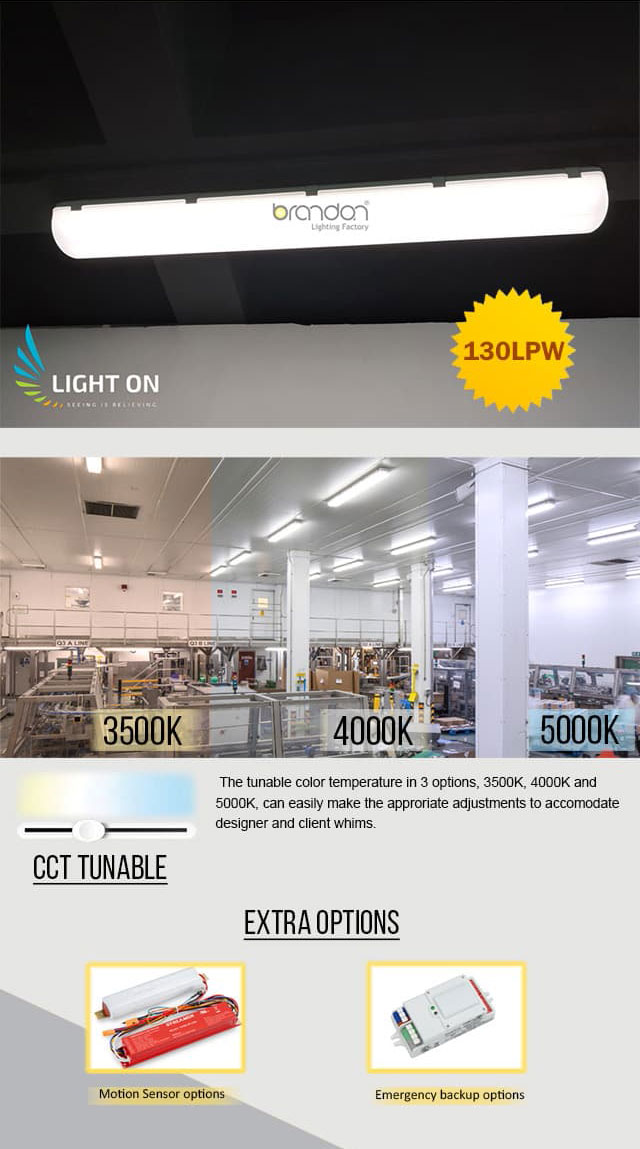 LED Ceiling Lamp