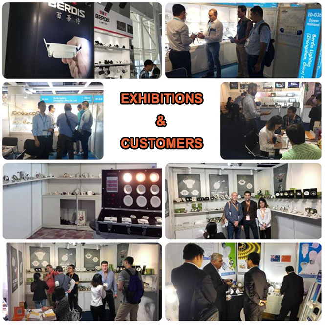 Exhibition Showcase