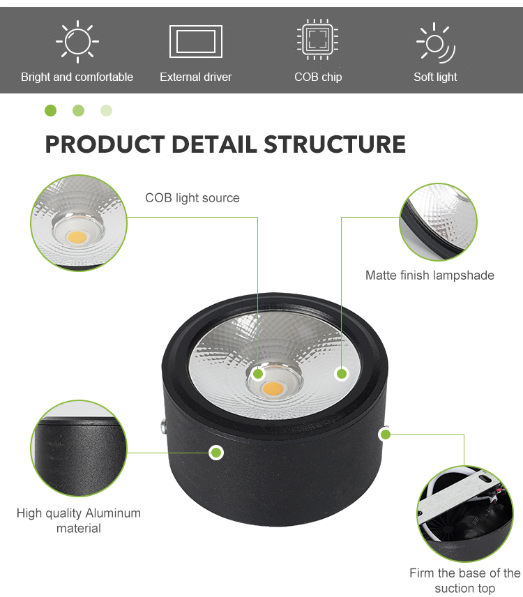 LED Downlight View 2