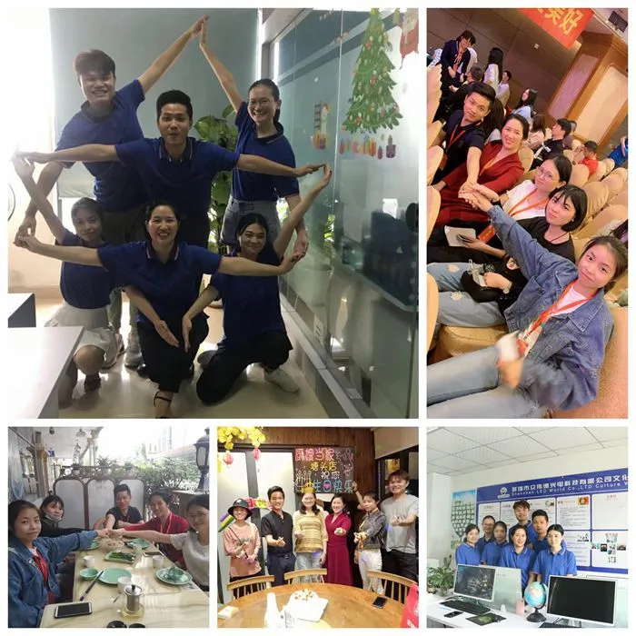 Professional Support Team