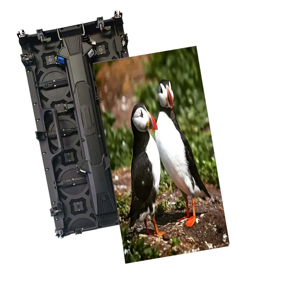 Outdoor Curve Flexible LED Display