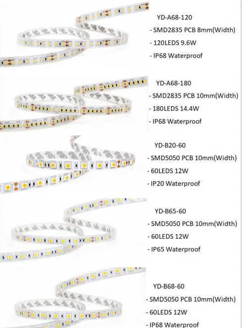 LED Strip Hot Sale 2