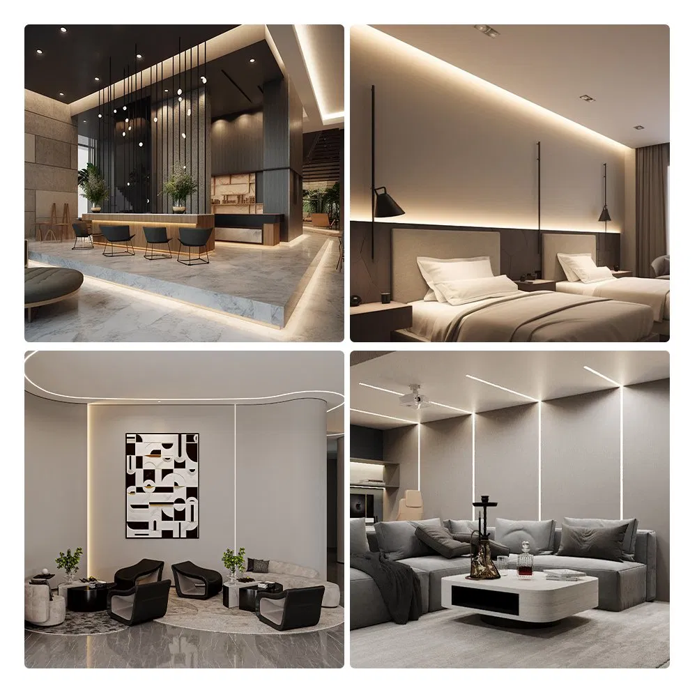 Dotless Neon LED 16.4FT (5M) Strip Light DC24V 40W IP67 10X10mm Outdoor Rated Dimmable Low Voltage Silicone Noen LED Strip Light