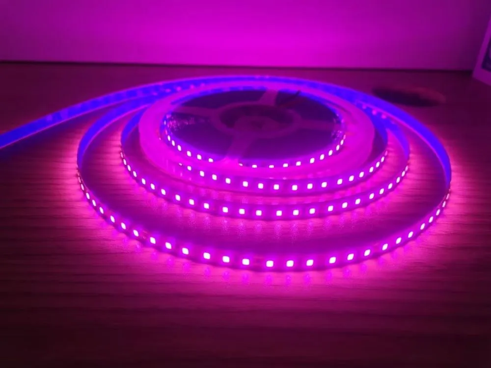 COB LED Strip 8