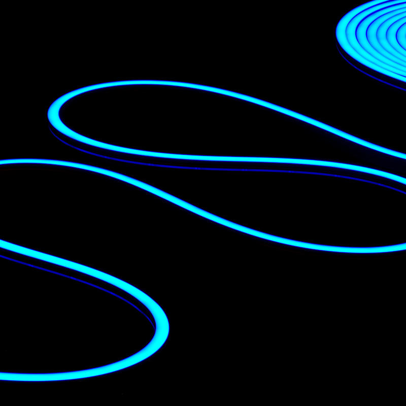 IP67 Waterproof Light 2835 Neon Custom LED Neon Sign Logo 5050 RGBW LED Strip 24V Club Lights Night Club Decoration