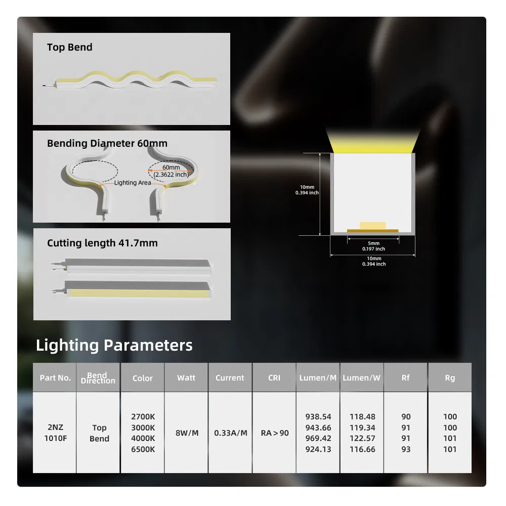 Dotless Neon LED 16.4FT (5M) Strip Light DC24V 40W IP67 10X10mm Outdoor Rated Dimmable Low Voltage Silicone Noen LED Strip Light
