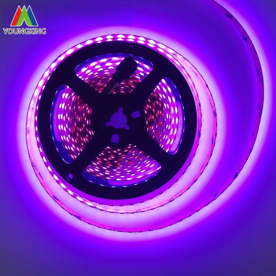Color Strip 24V 60LEDs 3535 RGB 120 LEDs/M LED Strip Manufacturer LED Strip Lighting RGB LED Strip Light