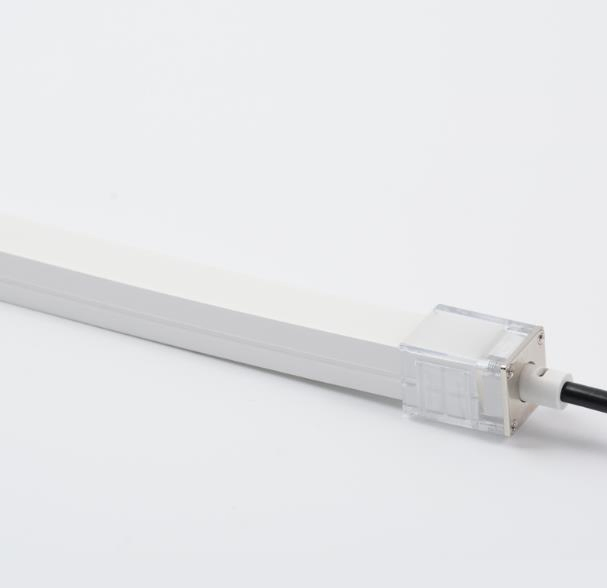 Digital DMX Spi IP67 1615 LED Neon Flex RGB RGBW Strip Light