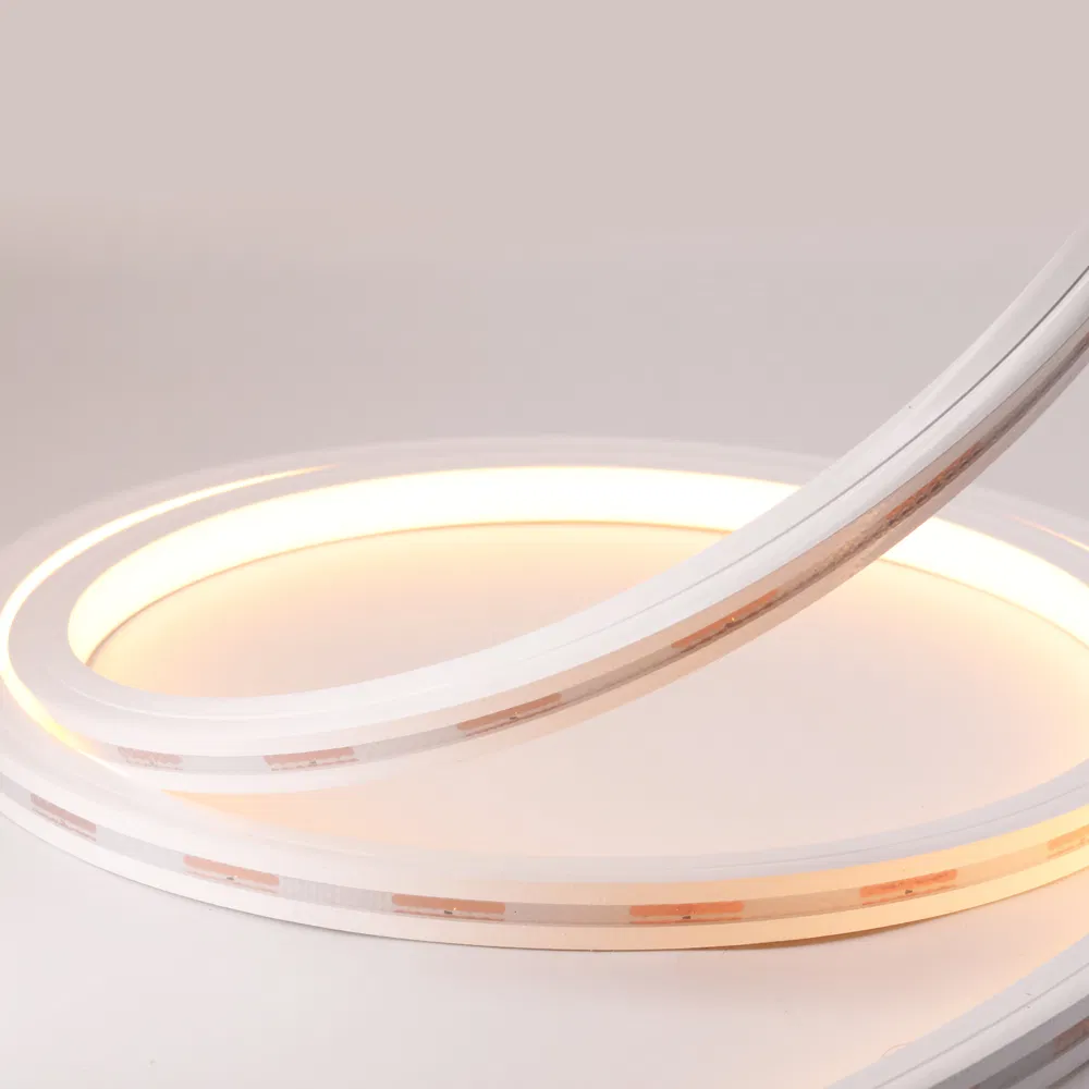 Outdoor IP67 Sign Logo Party Landscape Decorative Art Flexible Waterproof 12V 24V LED Neon Light Strip Words