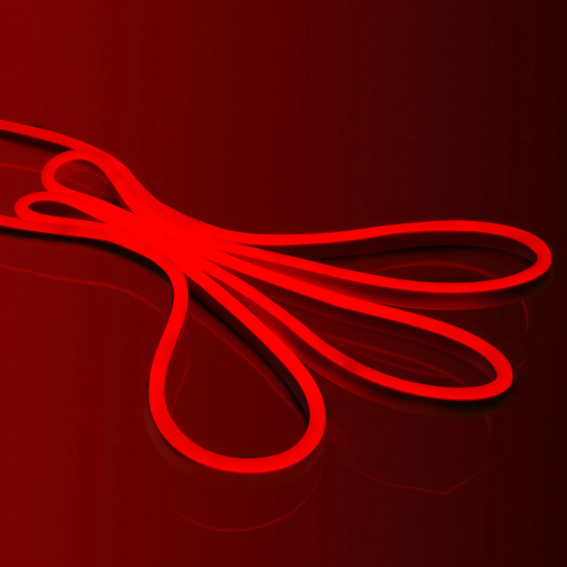 High Voltage 220V RGB LED Strip Light - 50m SMD5050