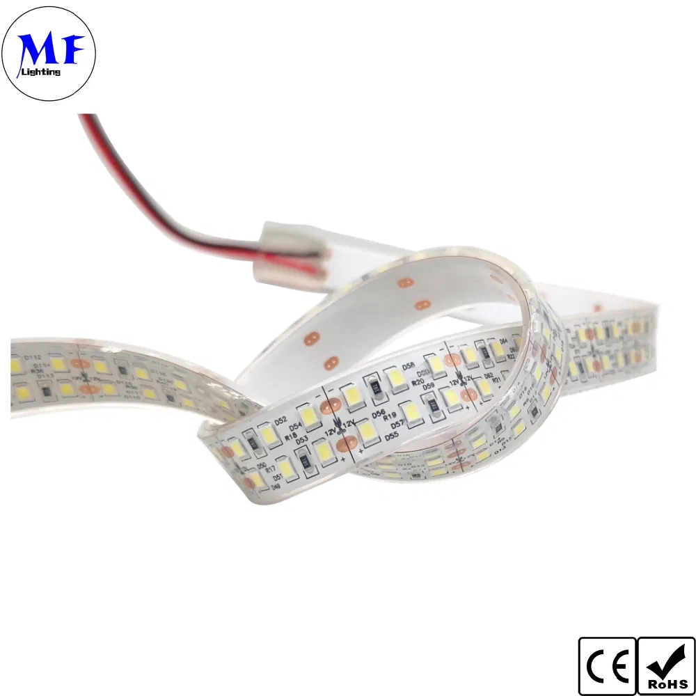 IP20 IP65 IP68 Waterproof DC12V 24V RGB RGBW LED 2835 Strip Light with CCT Dimming Control for Indoor Outdoor Lighting Building Facade Patio Deck Landscape