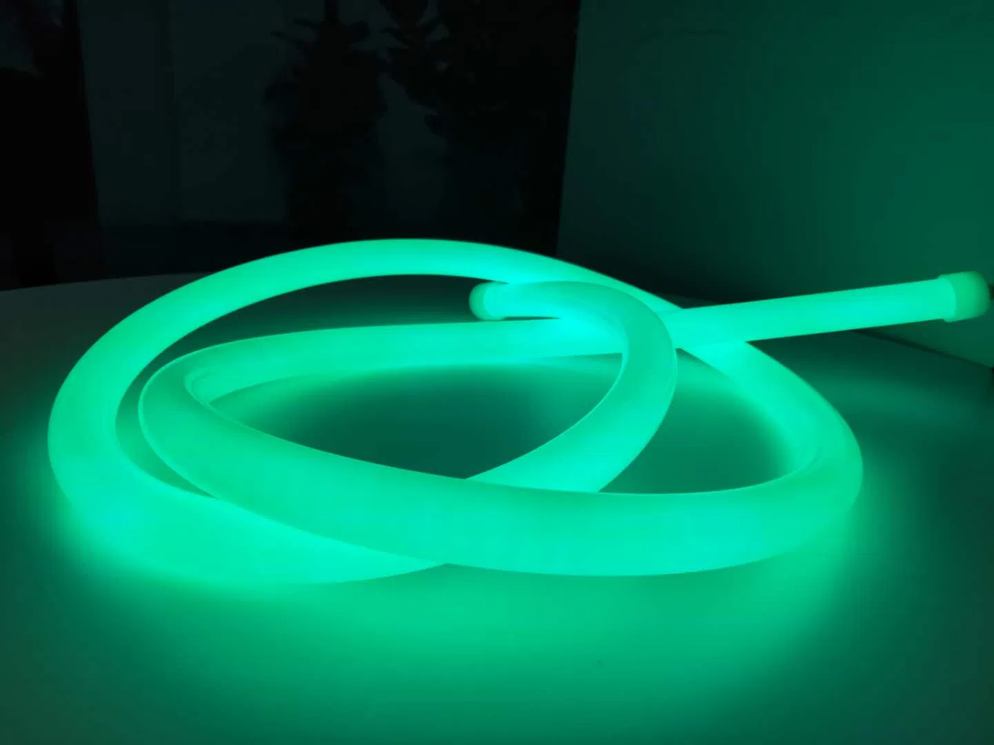 Wholesale Price Good Quality IP67 360 Degree Flexible Silicon 24V 12V LED Neon Flex Strip Lights