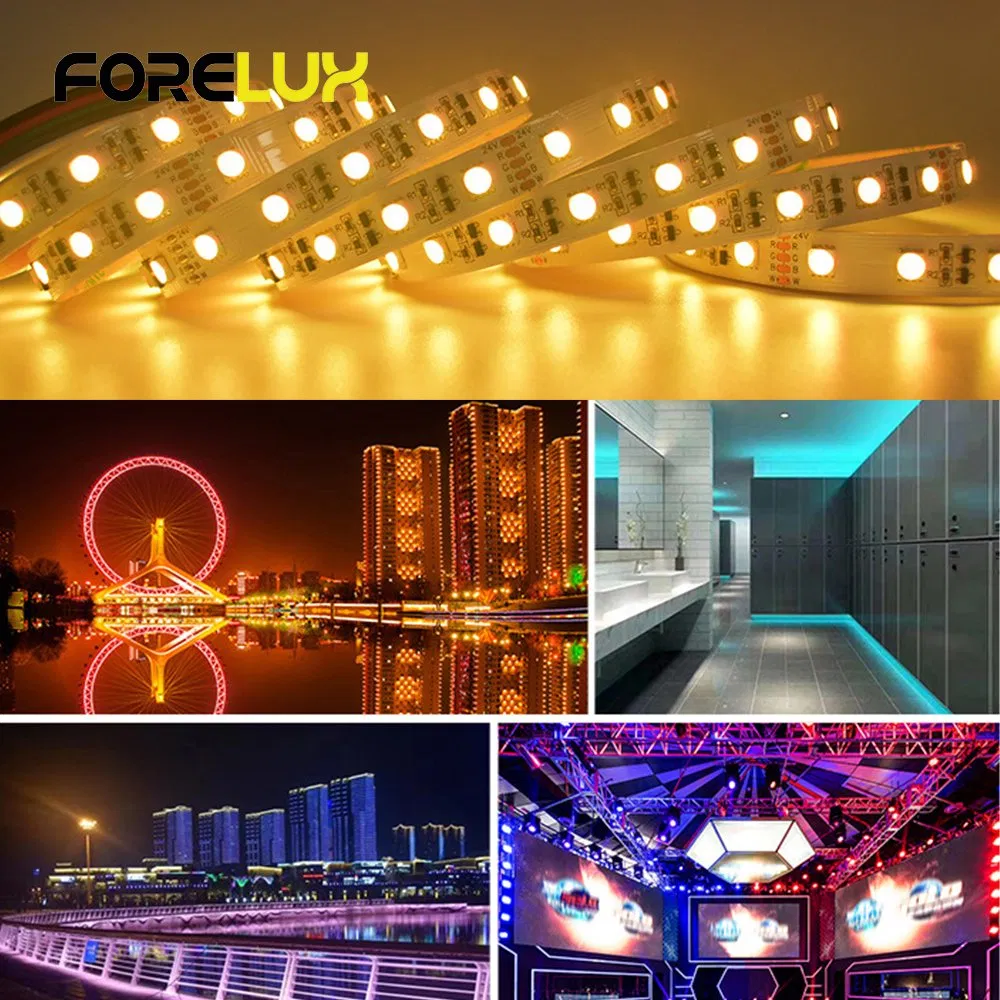 Long Run Length 15m Constant Current RGBW Full Color Flexible LED Strip Lights for Indoor Outdoor Use