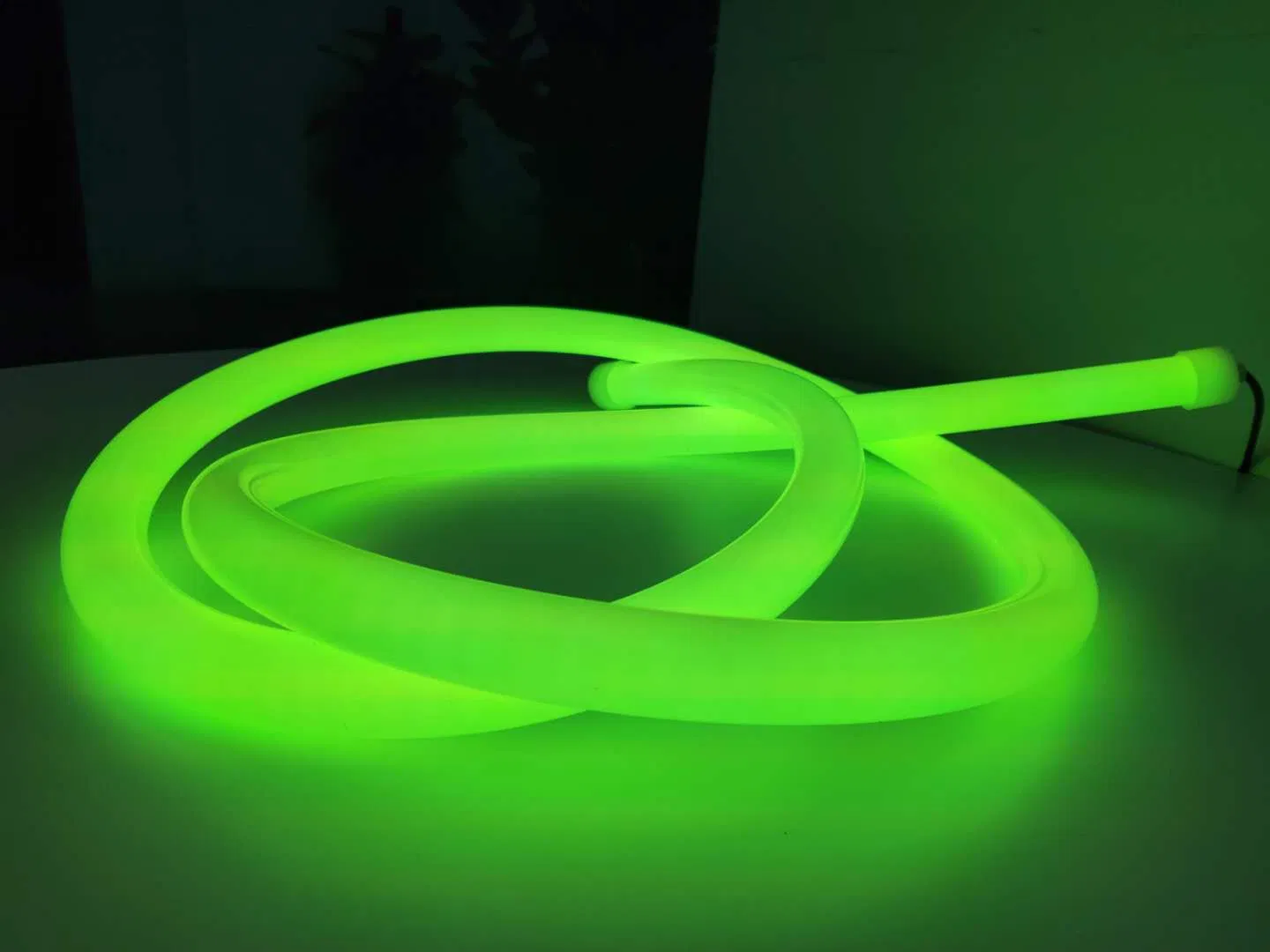 Wholesale Price Good Quality IP67 360 Degree Flexible Silicon 24V 12V LED Neon Flex Strip Lights