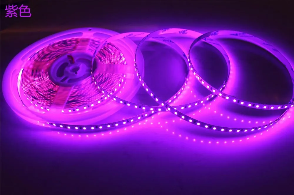 COB LED Strip 10