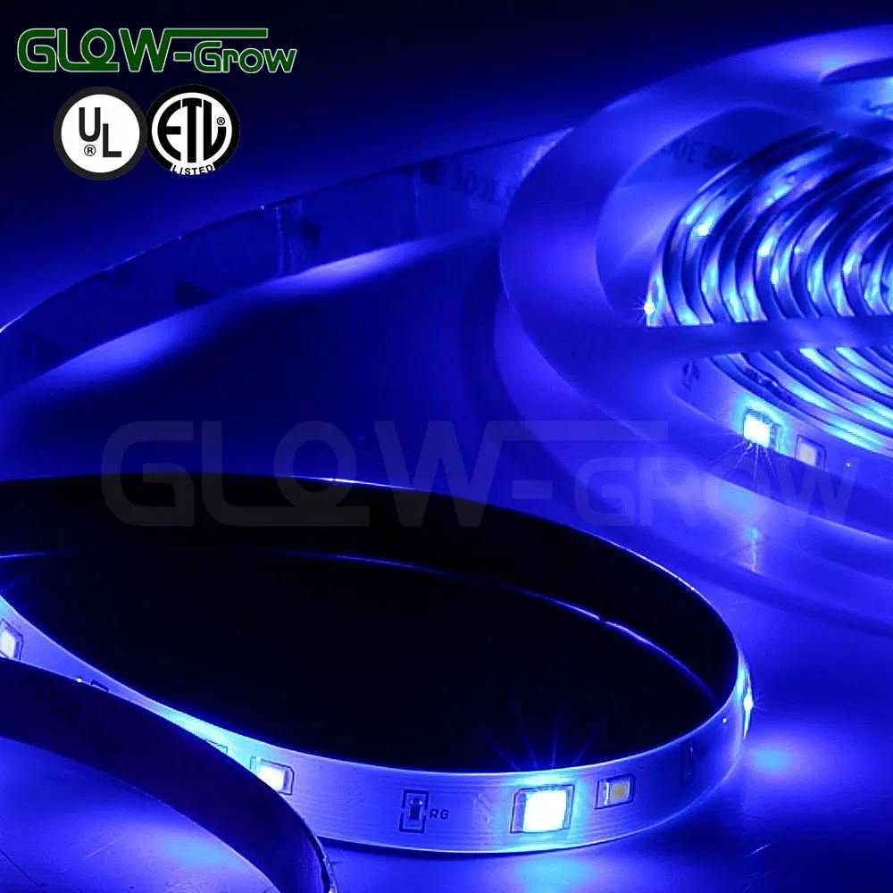 Indoor Use 24V IP44 5.0W RGBW LED Strip Light with UL Approval