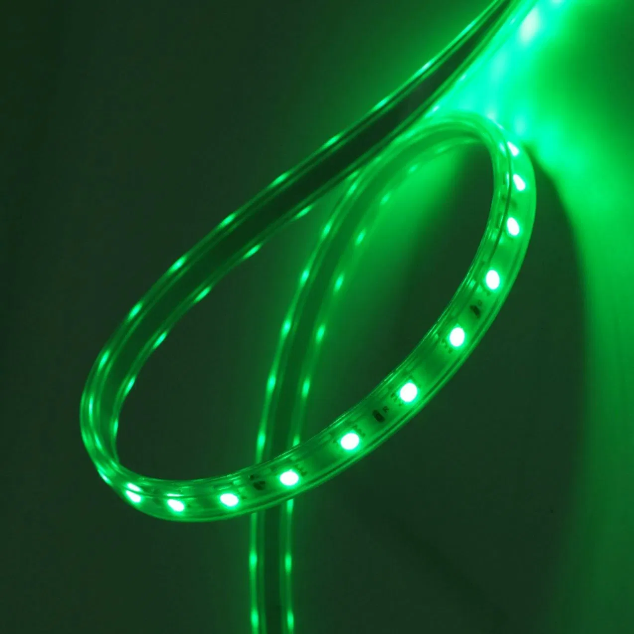 Factory Warrantly RGB Flexible LED Strip IP65 Waterproof Outdoor Light CE Rohs Certificate