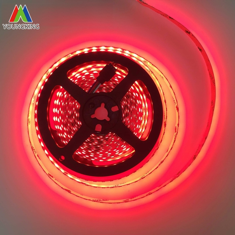 Color Strip 24V 60LEDs 3535 RGB 120 LEDs/M LED Strip Manufacturer LED Strip Lighting RGB LED Strip Light