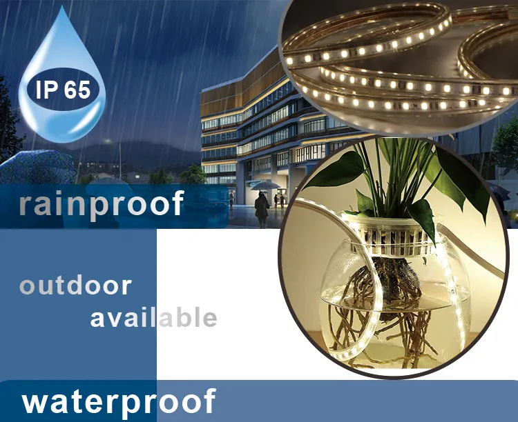 LED Strip Light Details