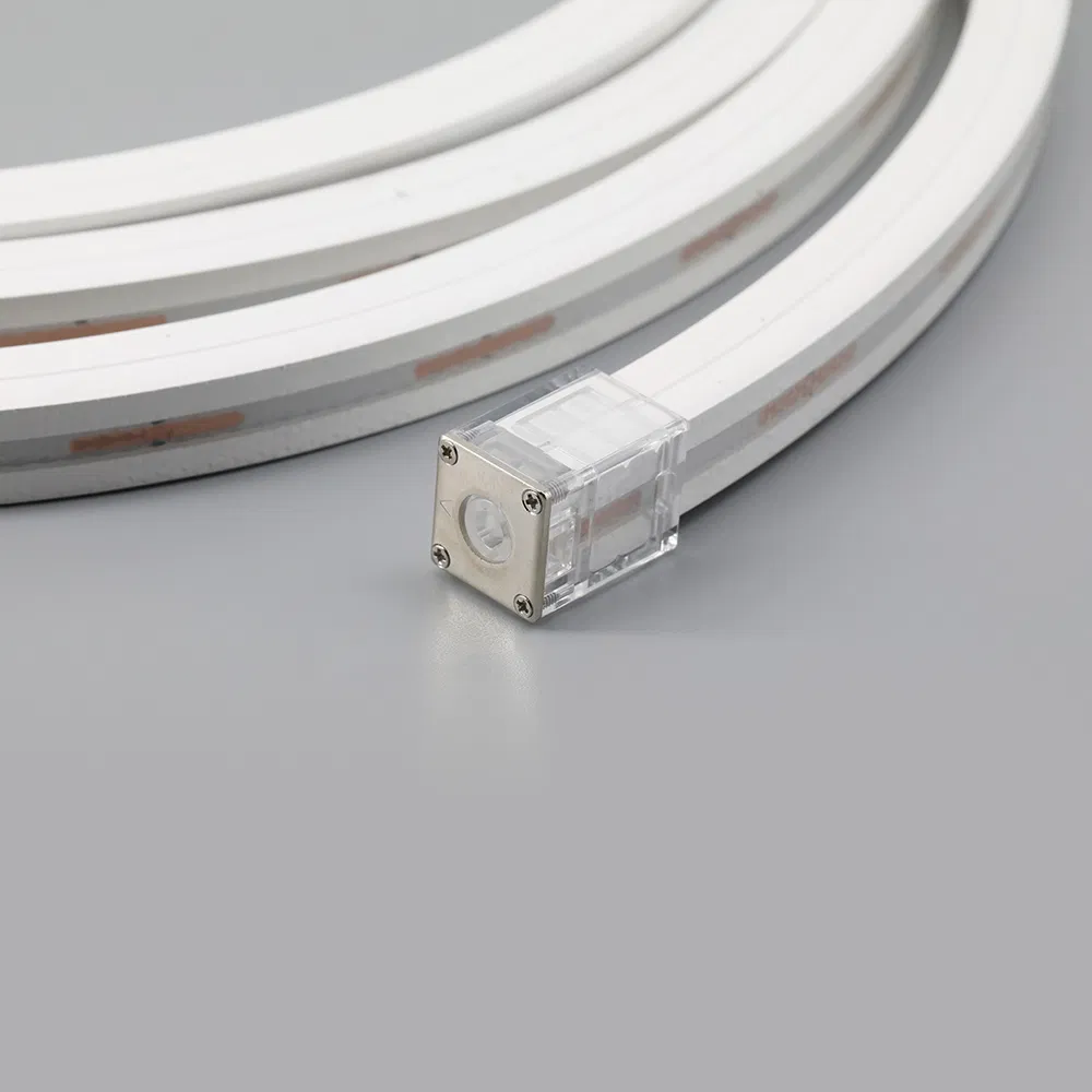 Outdoor IP67 Sign Logo Party Landscape Decorative Art Flexible Waterproof 12V 24V LED Neon Light Strip Words