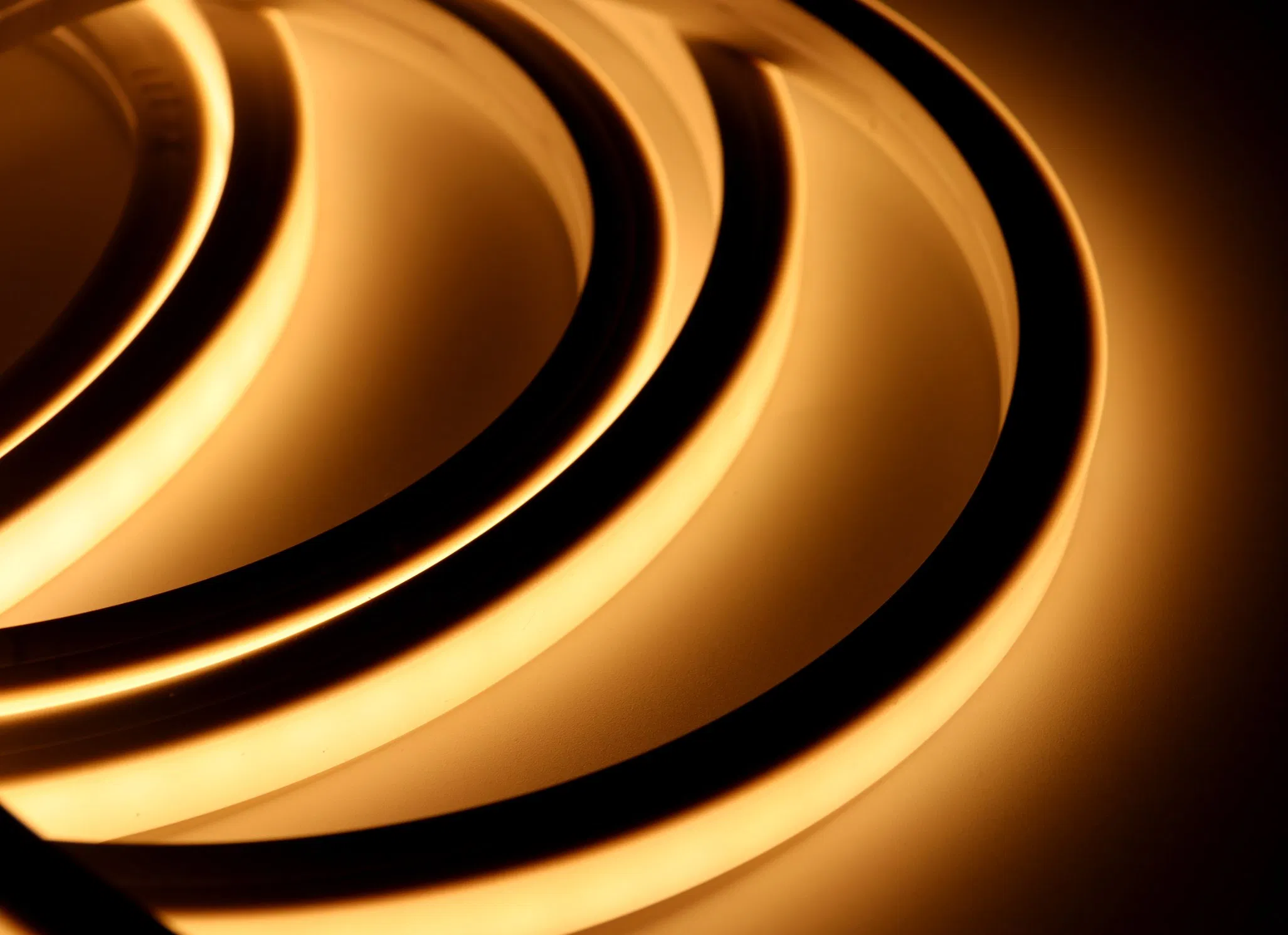 Wholesale UL, CE Certification Silicone Neon Flexible LED Strip Light Outdoor Waterproof Lighting Strip for Decorative Lighting