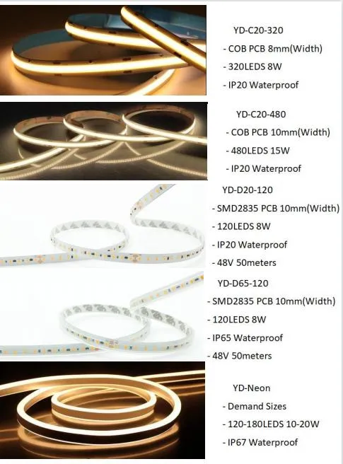 LED Strip Hot Sale 3