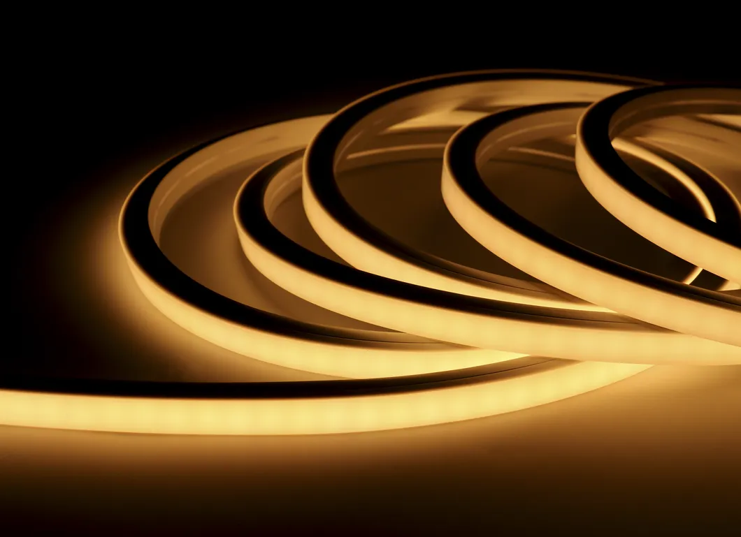 Neon Flex Application 1