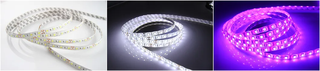 LED Strip Light Banner