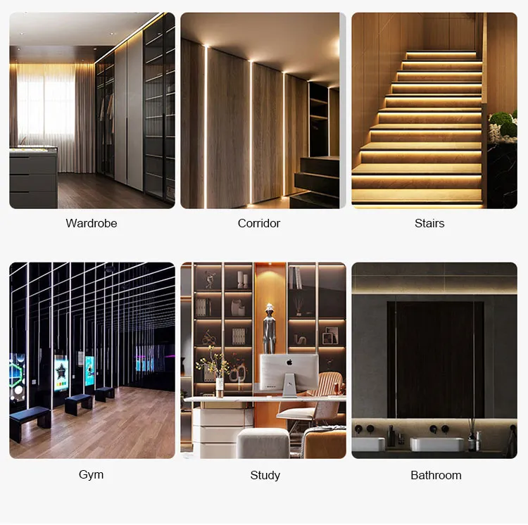 Professional Lighting