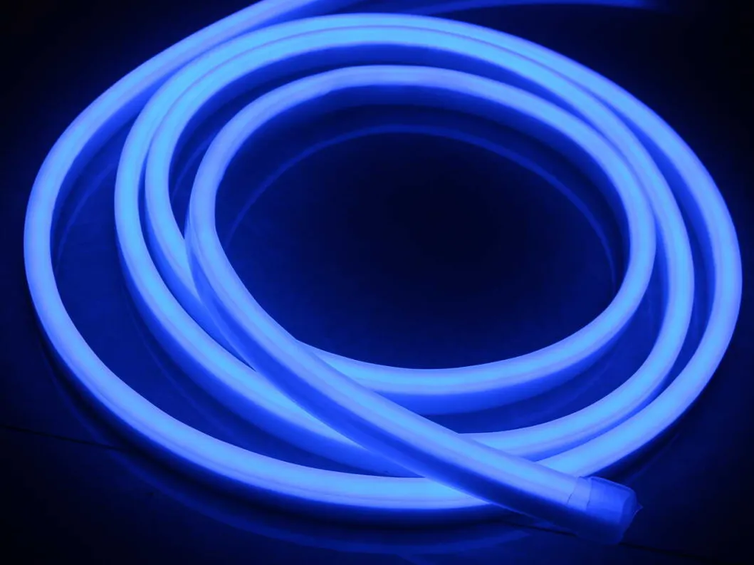 Flexible Neon Light View 1