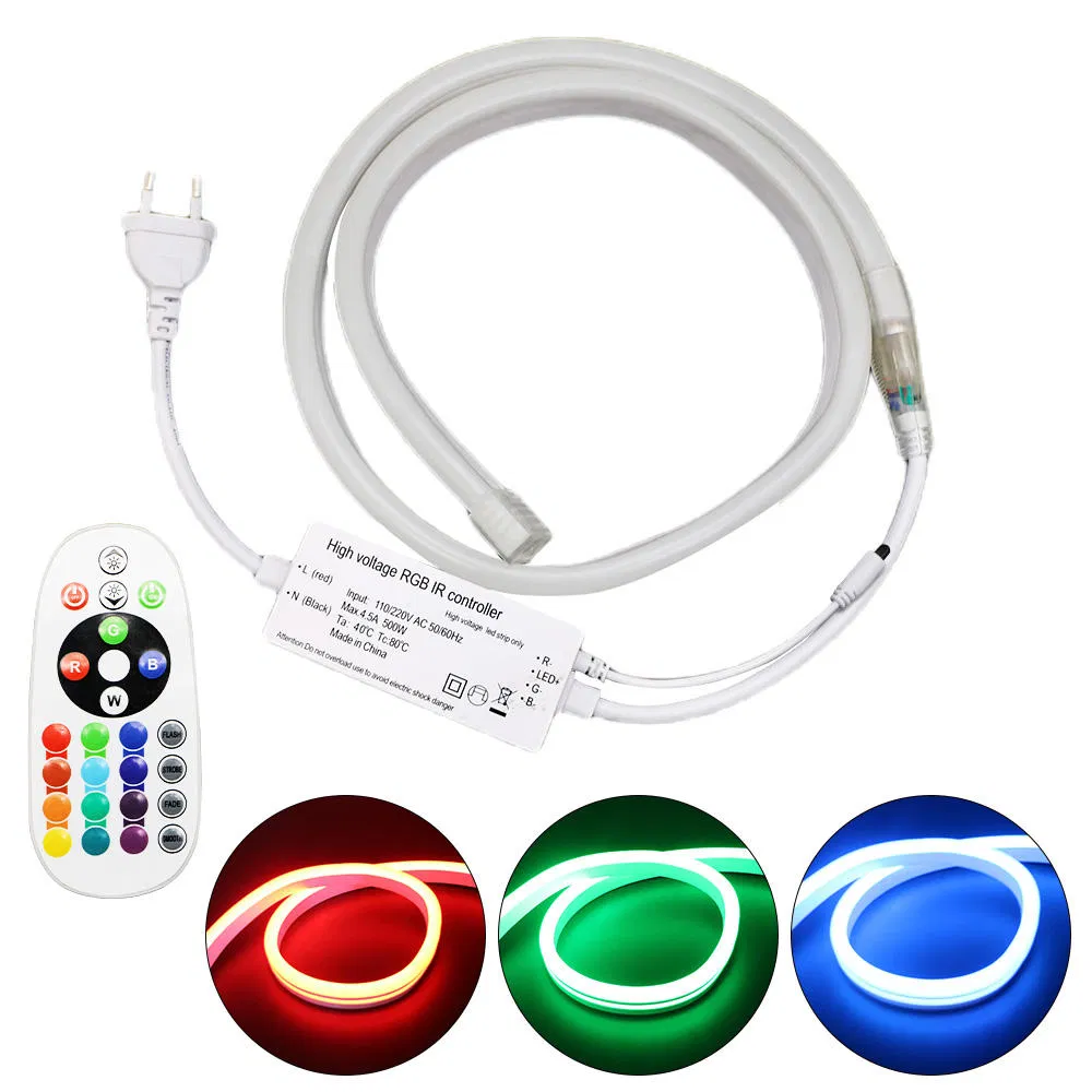 Detailed Neon Light 2