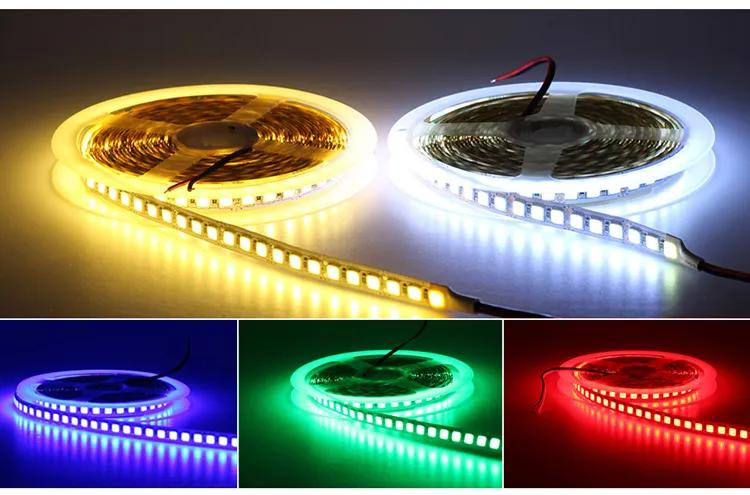 DC220V 10m LED Pixel Strip 100/120LEDs/M Programmable Individually Addressable Smart Full Color LED Strip Light