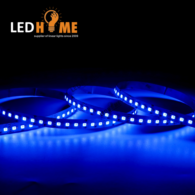 3838SMD High Density LED Strip CCT/RGB/RGBW/Rgbcct Exclusive for Dotsfree Linear Light