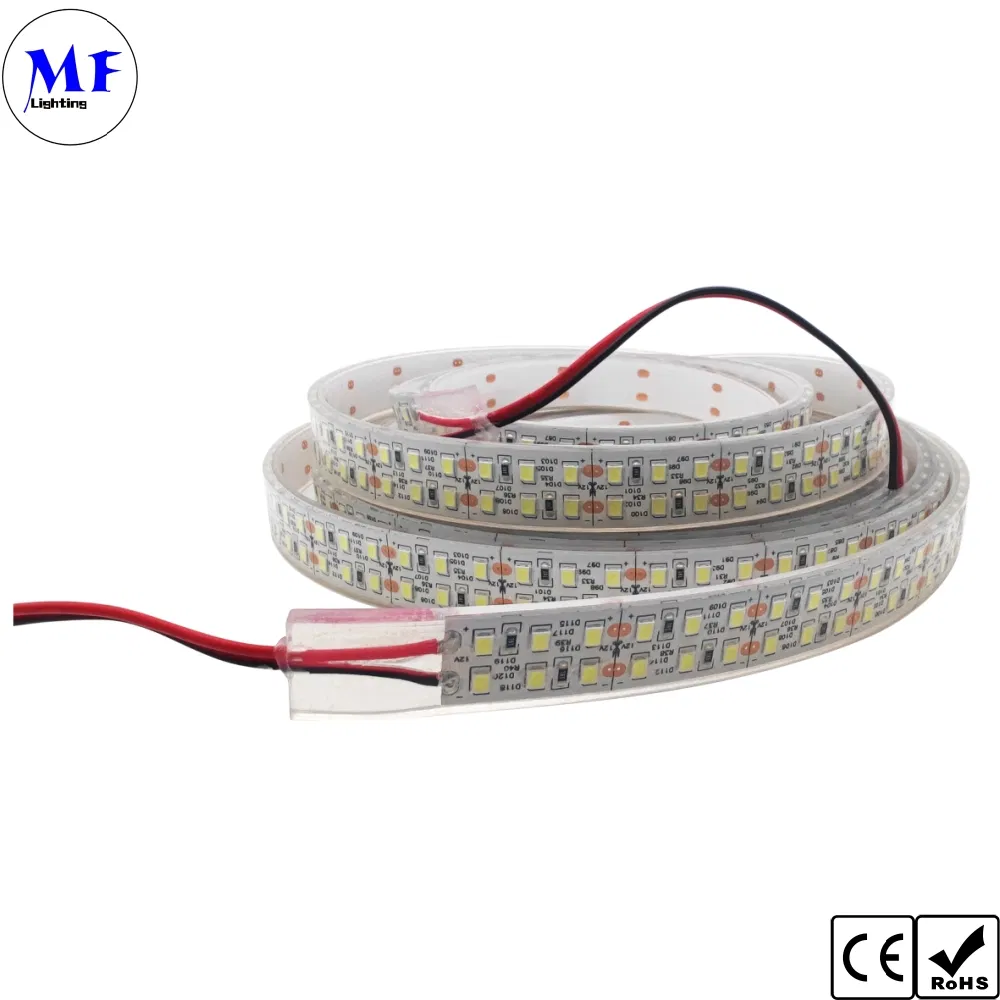 IP20 IP65 IP68 Waterproof DC12V 24V RGB RGBW LED 2835 Strip Light with CCT Dimming Control for Indoor Outdoor Lighting Building Facade Patio Deck Landscape
