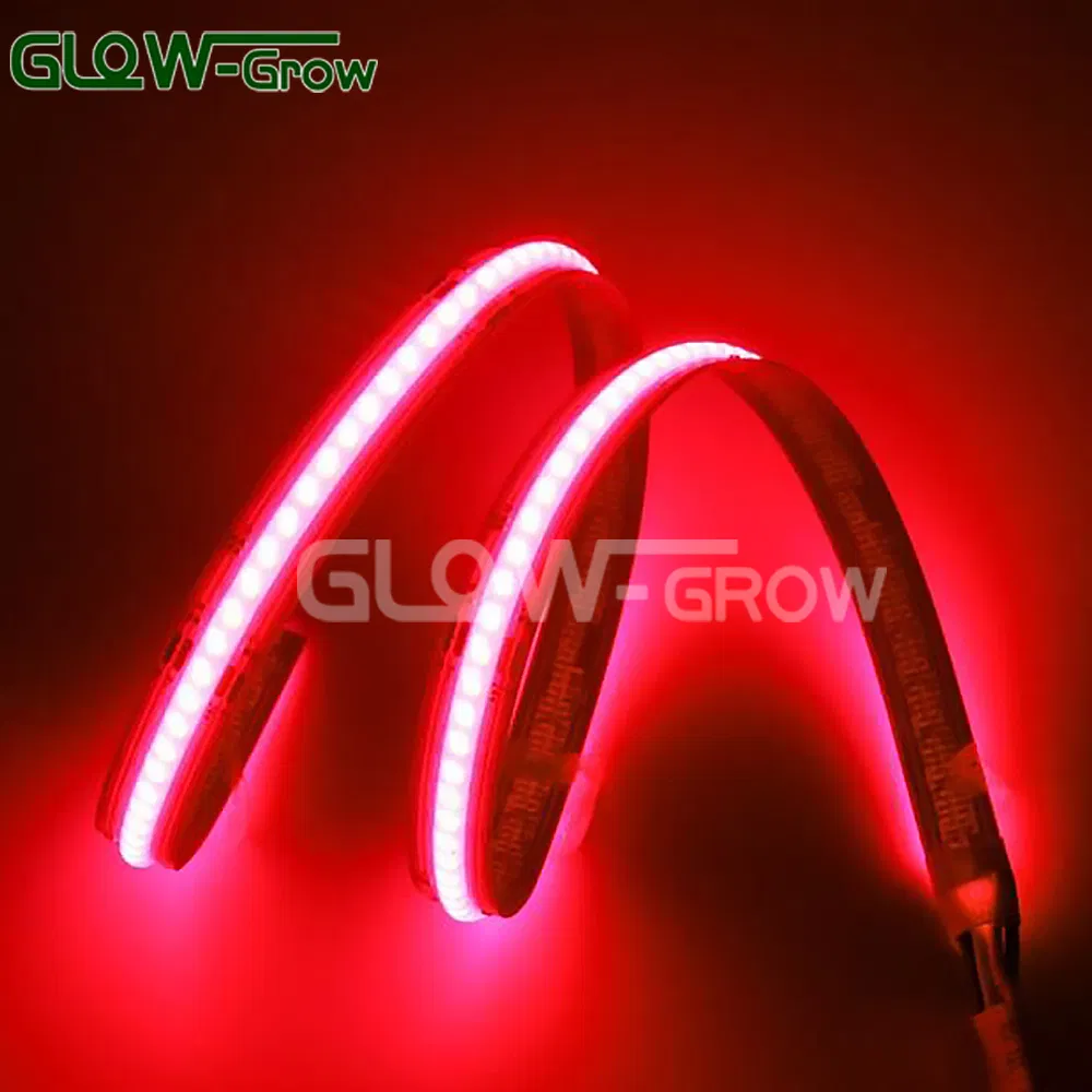 Blue High Density Flexible COB LED Strip Light 5m Flexible LED Tape Light for Home Christmas Decoration