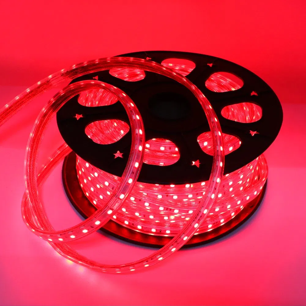 220V High Voltage LED Strip Light RGB SMD 5050 Tape Remote Control Waterproof LED Light Strip