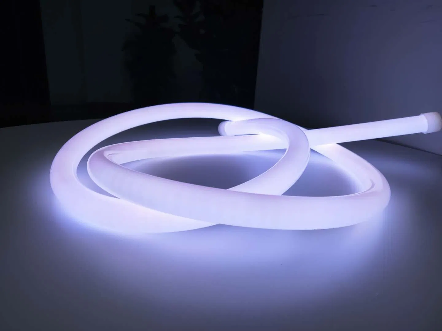 Wholesale Price Good Quality IP67 360 Degree Flexible Silicon 24V 12V LED Neon Flex Strip Lights